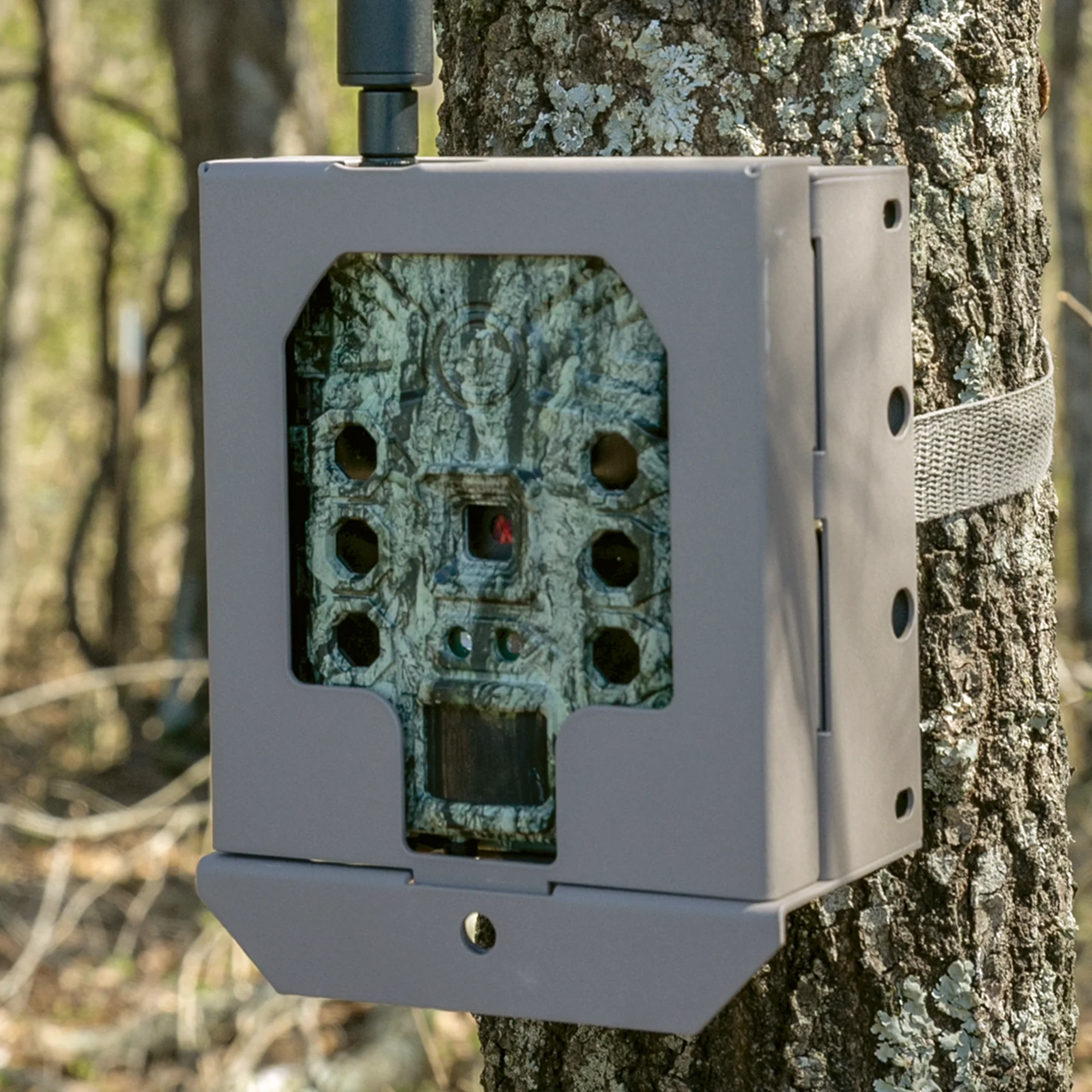 Trail Camera Security Box - Image 5