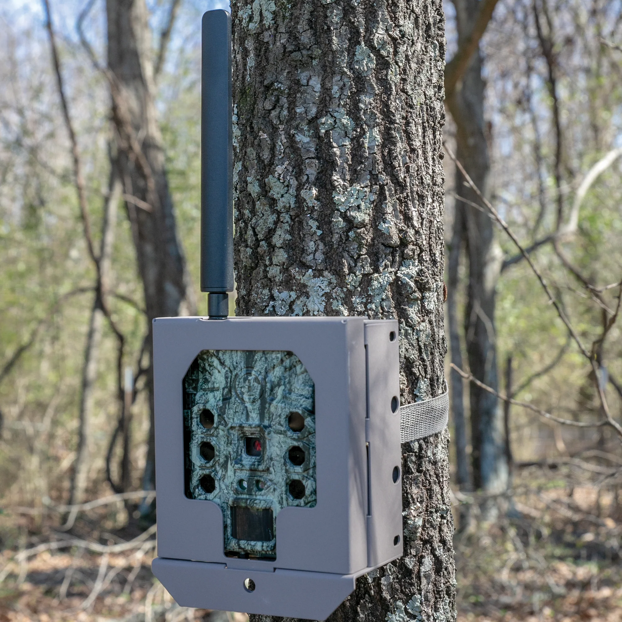 Trail Camera Security Box - Image 7